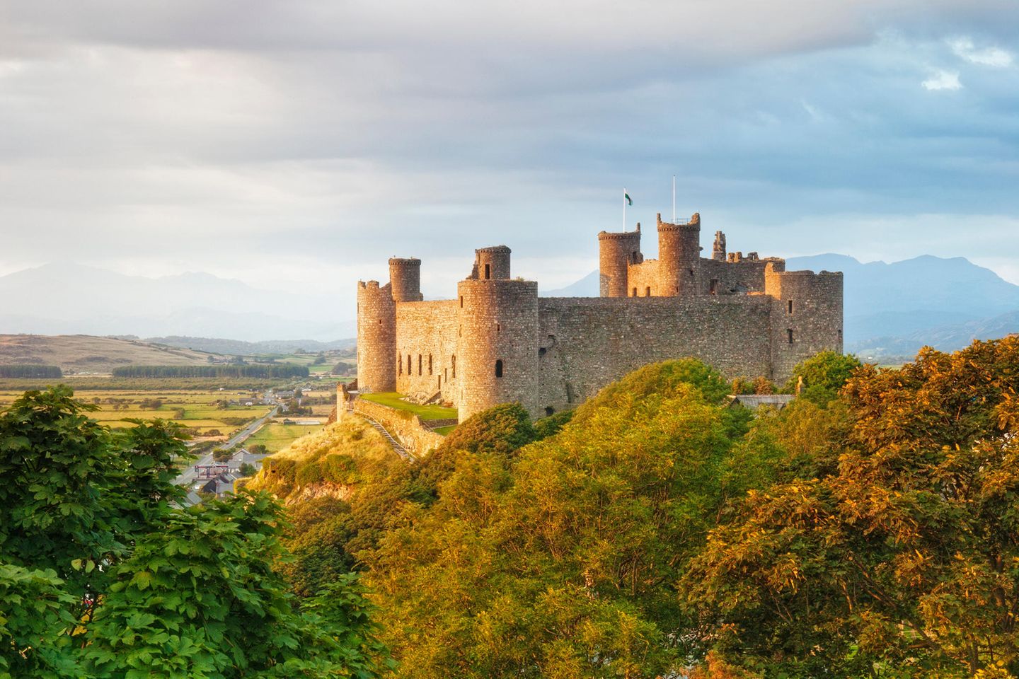 Burg auf einer Erhöhung in Mitten von Bäumen