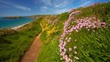 schmaler Weg an der Küste, rechts am Wegesrand gelbe und lilafarbene Blumen, link das Meer