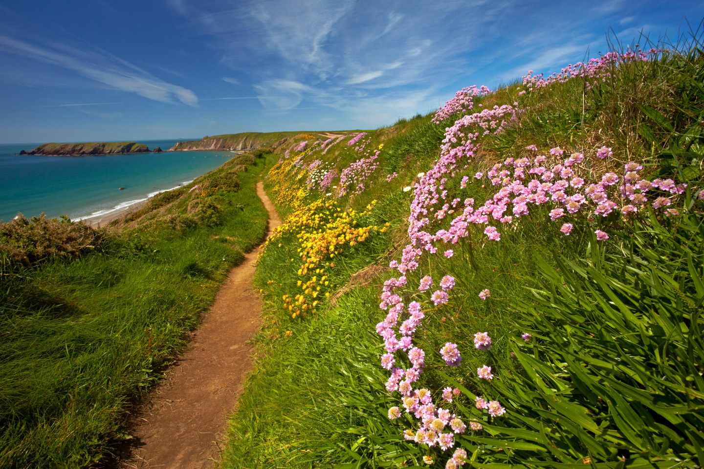 schmaler Weg an der Küste, rechts am Wegesrand gelbe und lilafarbene Blumen, link das Meer