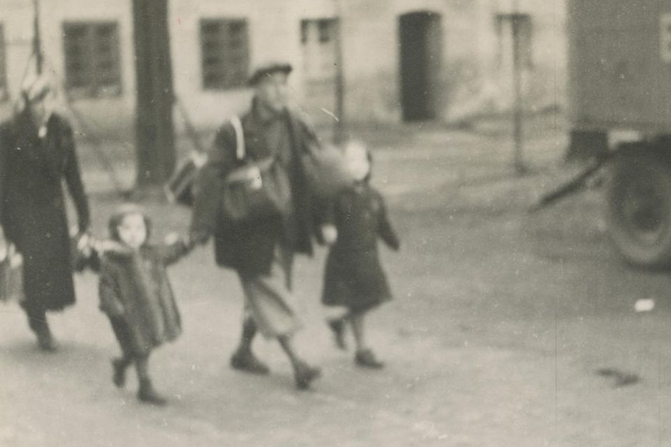 Eltern mit zwei Kleinkindern an den Händen  1.197