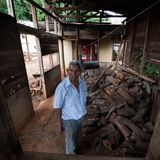 Alter Mann neben einem Holzdepot in den Blue Zones