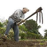 Alter Mann arbeitet im Garten in den Blue Zones