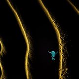 Skorpion in schattiger Sandlandschaft