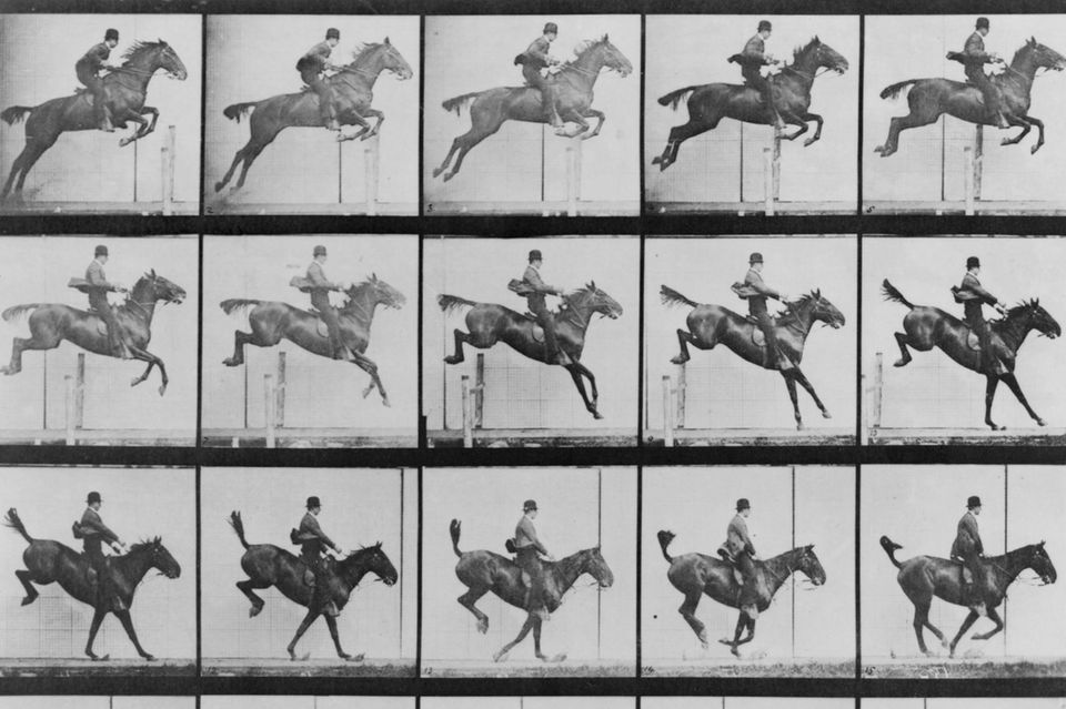 Der britische Fotograf Eadweard Muybridge begründete die Chronofotografie: Er hielt in seinen Bilderserien erstmals die Bewegungsabläufe von Menschen und Tieren fest. Diese Aufnahmen eines springenden Pferdes stammen aus dem Jahr 1887  1.2097