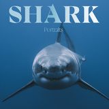 Räuber, die unseren Respekt verdienen: In seinem Buch "Shark: Portraits" hat Mike Coots seine besten Aufnahmen von den Haien der Weltmeere zusammengetragen. Es ist im Rizzoli Verlag erschienen