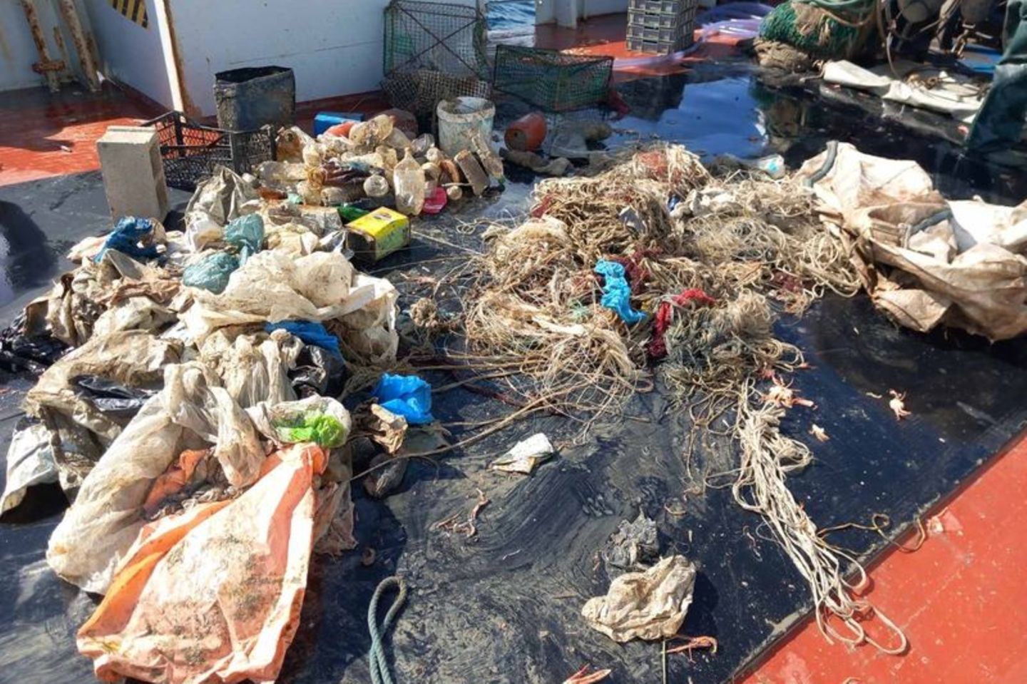 Mehr als die Hälfte des Mülls, der 2023 aus dem Mittelmeer gefischt wurde, bestand aus Plastik