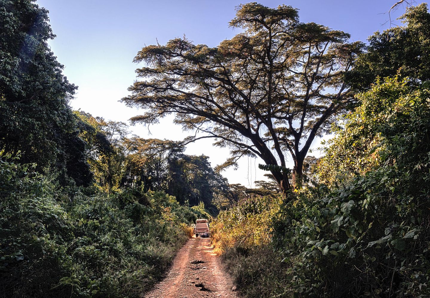 Auto auf unasphaltierter Straße im Wald Auto auf unasphaltierter Straße im Wald