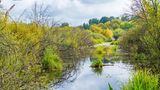Schmaler Flusslauf durch niedrige Bäume und Büsche