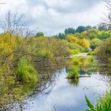 Schmaler Flusslauf durch niedrige Bäume und Büsche