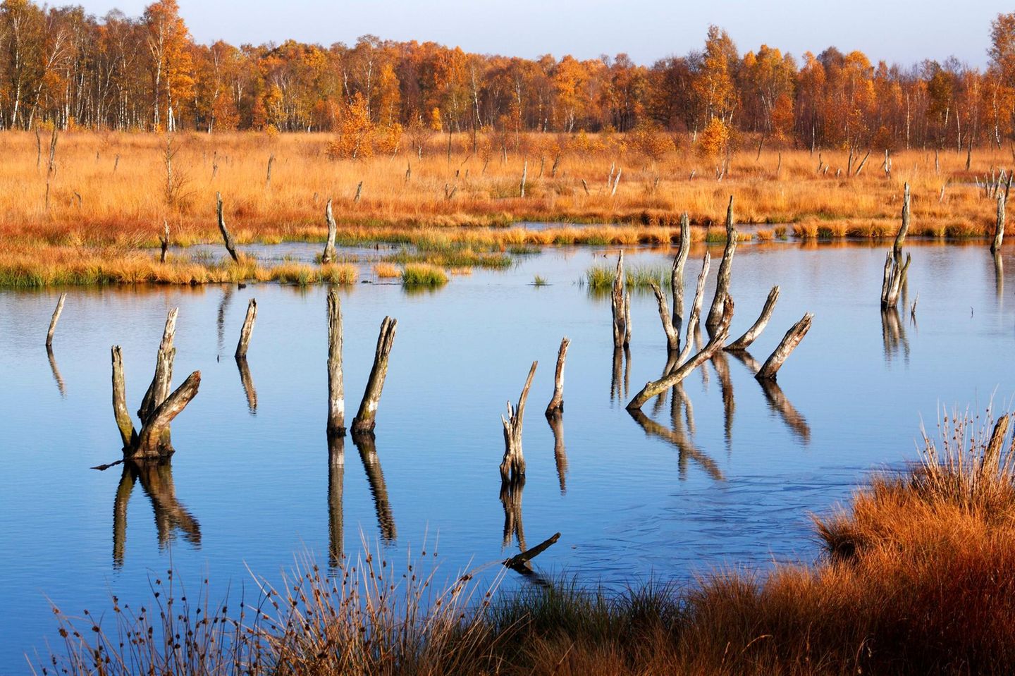Orangefarbene Landschaft, davor Wasser, aus dem Stäbe ragen