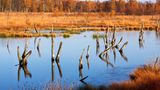 Orangefarbene Landschaft, davor Wasser, aus dem Stäbe ragen