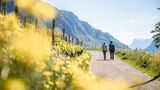 Zwei Wandernde auf Kiesweg vorbei an Weinreben, im Hintergrund Berge