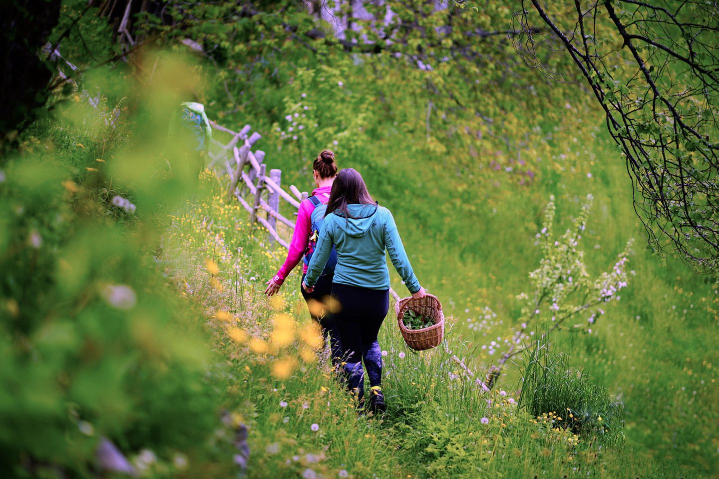 Zwei Frauen mit Korb wandern durch grüne Landschaft