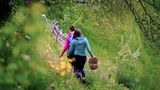 Zwei Frauen mit Korb wandern durch grüne Landschaft