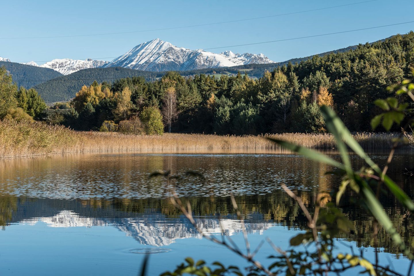 Wald und Berge im Hintergrund spiegeln sich in ruhigem Wasser