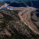 Hart getroffen werden von dem Wassernotstand auch die Landwirte. Sie müssen ihren Verbrauch um 80 Prozent reduzieren. Die Viehwirtschaft muss 50, die Industrie 25 Prozent einsparen. Bei Verstößen sind Strafen von bis zu 150.000 Euro vorgesehen
