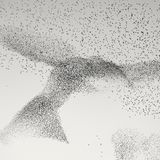 Wenn die Stare am Abend aus Rom zu ihren Schlafplätzen vor den Toren der Stadt zurückkehren, scheint ihr Flug unvorhersehbaren Choreografien zu folgen. Auf dem Foto des Rumänen Daniel Dencescu bildet der Schwarm eine Vogel-Silhouette