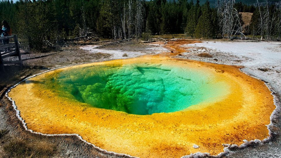 Geysir im Yellowstone Park