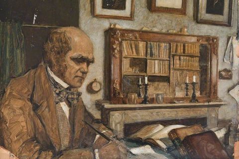Der Naturforscher Charles Darwin sitzt, umgeben von Büchern, am Schreibtisch in seinem Arbeitszimmer