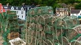 Isle of Mull: Pub-Kultur und Jakobsmuscheln Isle of Mull, Schottische Innere Hebriden. Fischfangnetze