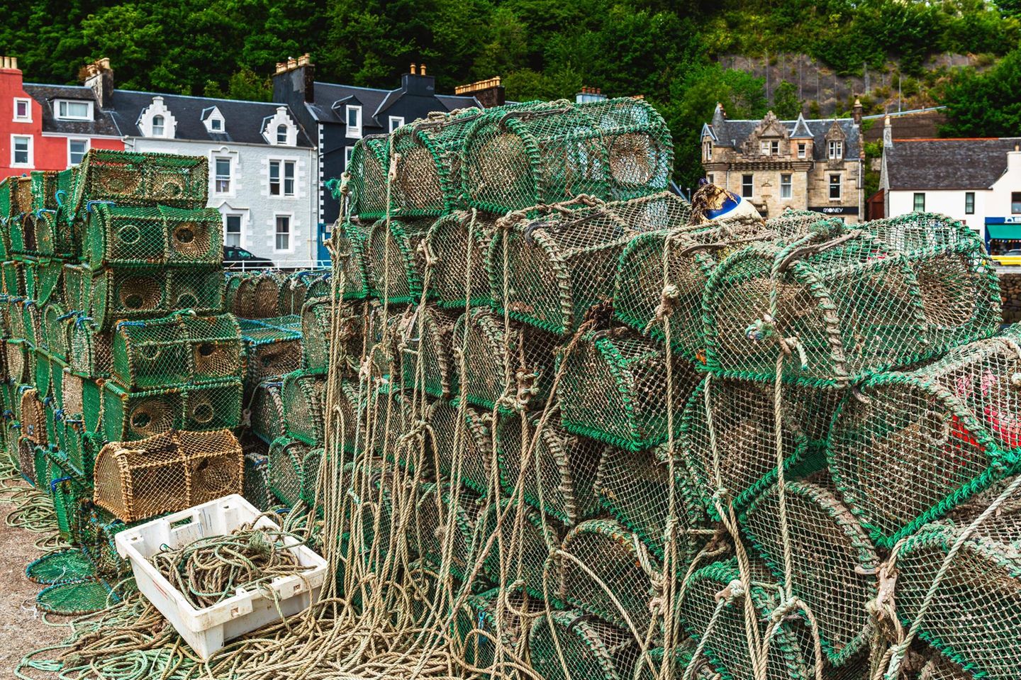 Isle of Mull: Pub-Kultur und Jakobsmuscheln Isle of Mull, Schottische Innere Hebriden. Fischfangnetze