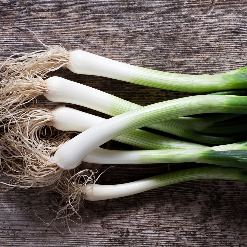 6 Bündel zum Frühlingszwiebeln anbauen auf Holz