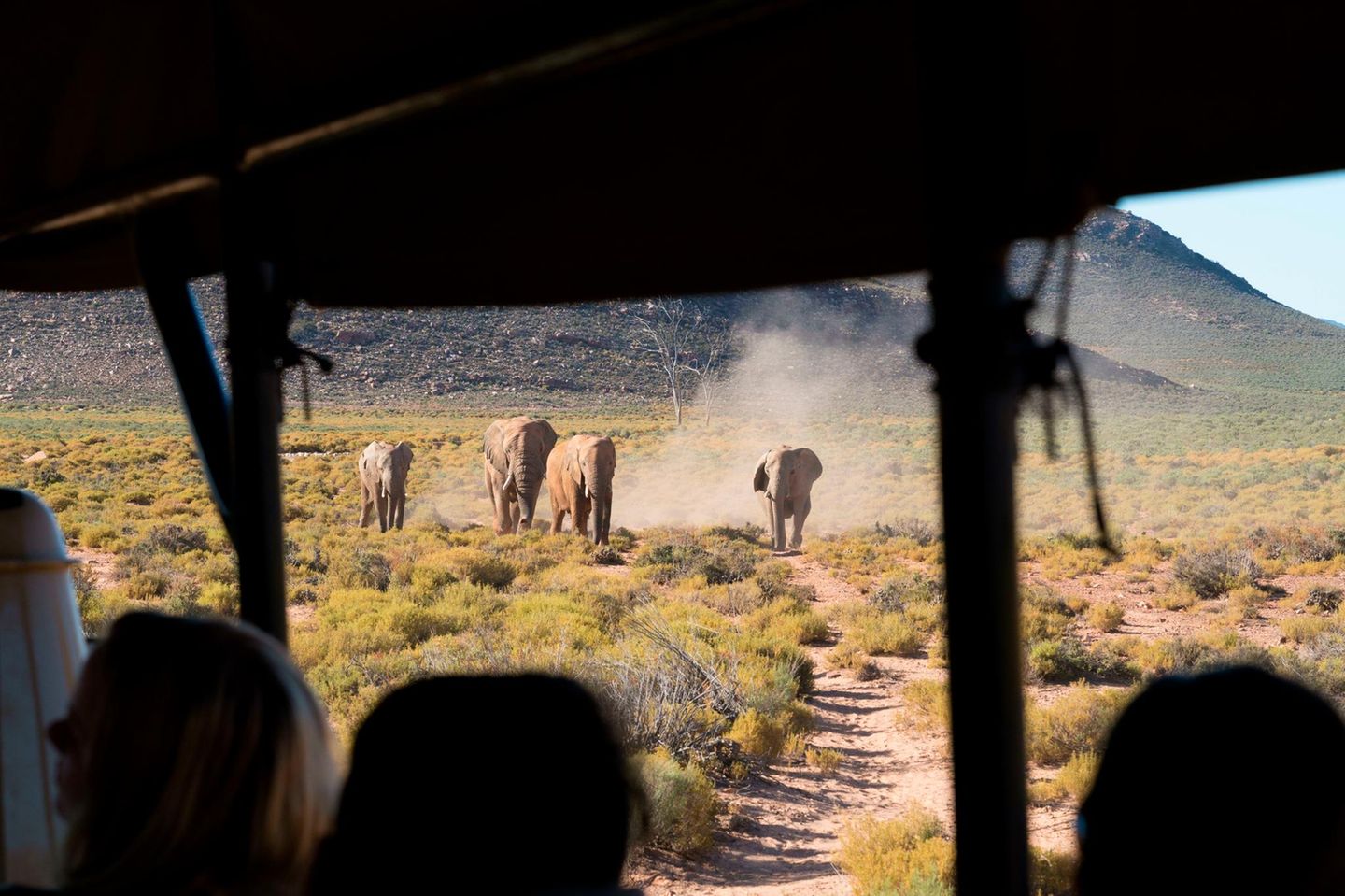 Elefanten und Touristen im Aquila Wildlife Reserve