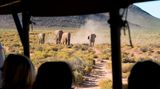 Elefanten und Touristen im Aquila Wildlife Reserve