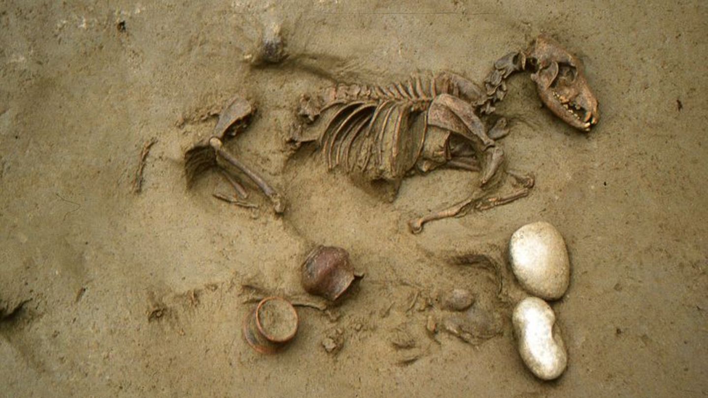 Dieses von den Oberaufsichtsbehörden für Archäologie, Bildende Kunst und Landschaft (SABAP-VR) zur Verfügung gestellte Foto zeig
