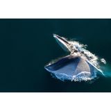 Mit aufgerissenem Maul stürzt sich dieser Finnwal auf einen Krillschwarm. Sein Kehlsack nimmt Wasser inklusive Beute auf, bis zu 70 Kubikmeter fließen in seinen Körper. Er schließt sein Maul und presst anschließend das Wasser durch die Barten wieder heraus. Diese Form des Jagens führt die bis zu 27 Meter langen Kolosse selbst in 200 Meter Tiefe. Während einer solchen Attacke müssen die Wale ihren Körper kräftig bewegen, um den Wasserwiderstand zu überwinden – und das wiederum zehrt an den Sauerstoffvorräten. Bereits nach sieben bis acht Happen sind die Tiere deshalb so erschöpft, dass sie zum Luftholen nach oben kommen müssen. Doch der Aufwand lohnt sich: Manche Finnwale verschlingen pro Tag mehr als zwei Tonnen der etwa daumenlangen Krebse, die mit ihnen eng verwandten Blauwale bringen es sogar auf vier Tonnen