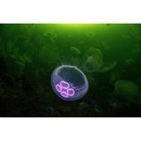 Ein riesiger Schwarm von Mondquallen treibt in 20 Meter Tiefe durch Loch Leven in Schottland. Um eine davon zum Leuchten zu bringen, hat James Lynott sie mit seiner Handlampe angestrahlt. Das Schöne am Tauchen, so der Fotograf: Man weiß nie, was man vorfindet – selbst an Orten, an denen man schon mehrmals gewesen ist. 