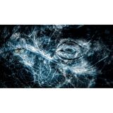 Grauwale sind für ihr freundliches und neugieriges Wesen bekannt und nähern sich oft Booten, so dass ihre Verhaltensweisen beobachtet werden können. Dieses Foto wurde vom Boot aus aufgenommen, wobei der Wal einen freundlichen Blick in Richtung der Kamera geworfen hat. 