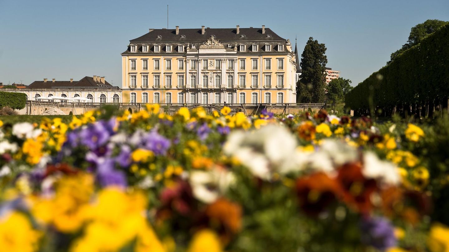 Gelbes Schloss, davor gelbe und lilane Blumen