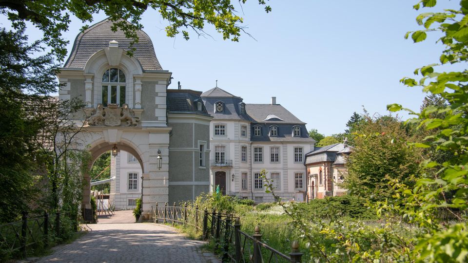 Gepflasterter Weg führt durch einen Torbogen zu einem Schloss, zur rechten eine wildwachsende Wiese Gepflasterter Weg führt durch einen Torbogen zu einem Schloss, zur rechten eine wildwachsende Wiese