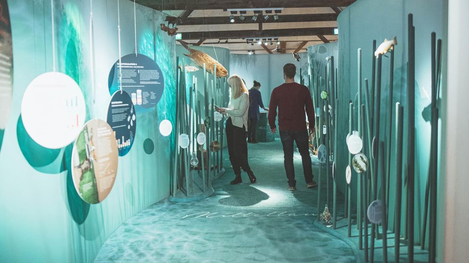 Menschen in einem blauen Museumsgang mit Informationsmaterial an den Wänden Menschen in einem blauen Museumsgang mit Informationsmaterial an den Wänden
