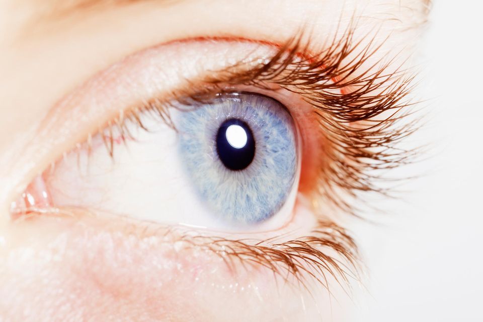 Nahaufnahme eines blauen Auges mit Wimpernkranz  1.4453