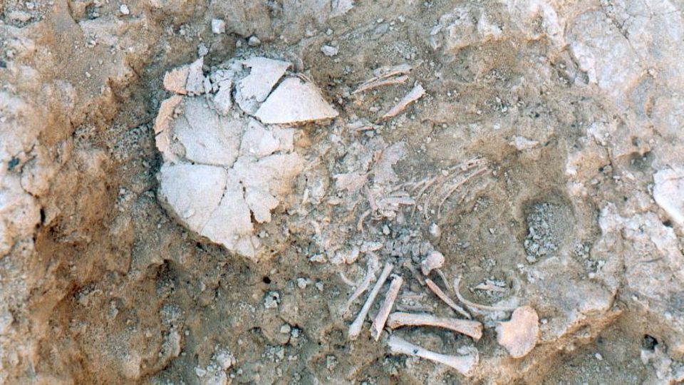 Forschende haben die Knochen eines Säuglings mit Down-Syndrom aus der eisenzeitlichen Stätte Las Eretas exhumiert