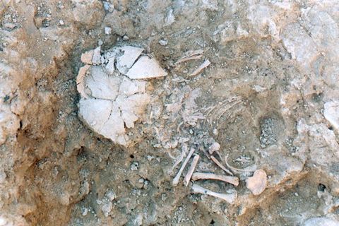Forschende haben die Knochen eines Säuglings mit Down-Syndrom aus der eisenzeitlichen Stätte Las Eretas exhumiert