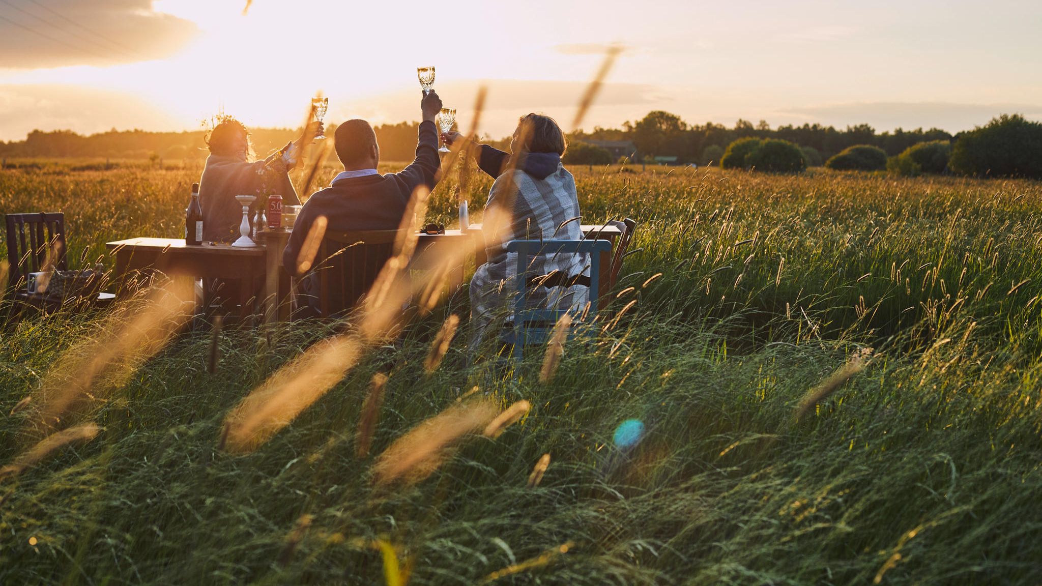 Eine Gruppe von Freunden stößt auf einer Wiese miteinander an