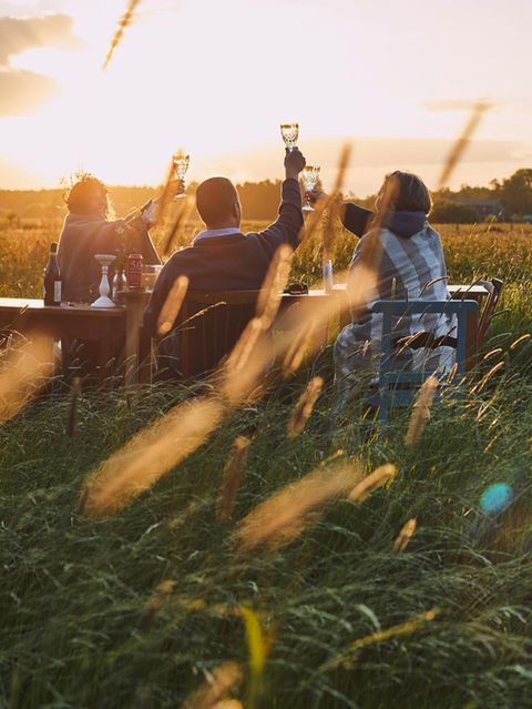 Eine Gruppe von Freunden stößt auf einer Wiese miteinander an