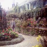 Der Maler Claude Monet in seinem Garten
