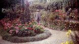 Der Maler Claude Monet in seinem Garten