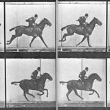 mehrere Bilder zeigen jeweils Mann auf Pferd im Galopp