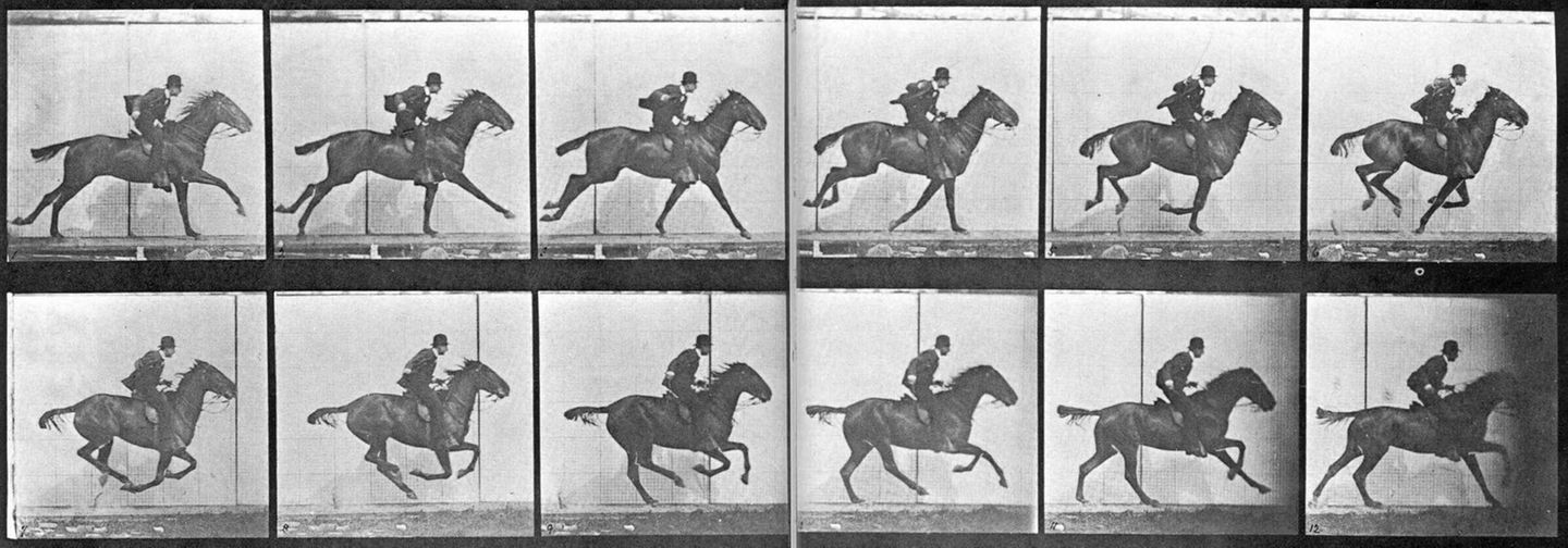 Die Magie der vielen Augenblicke mehrere Bilder zeigen jeweils Mann auf Pferd im Galopp