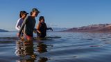 Der ungewohnte Wassersegen könnte der Pflanzen- und Tierwelt an einem der trockensten Ort der Erde von Nutzen sein. Bestimmte Pflanzenarten, die nur im Death Valley vorkommen, überdauern jahrelange Trockenperioden, um bei erneuten Niederschlägen zu keimen
