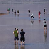 Noch ist das ungewöhnliche Nass eine Touristenattraktion. Doch falls der Lake Manly sich in Zukunft wieder bilden sollte und vielleicht sogar Bestand hat, könnte sein Wasser auch als Trinkwasser für den trockenen Südwesten genutzt werden
