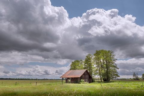 Scheune auf einer sattgrünen Wiese