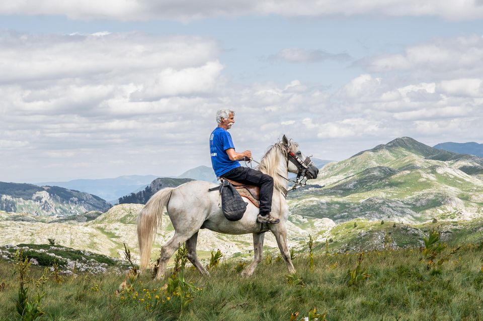 Mann auf Pferd