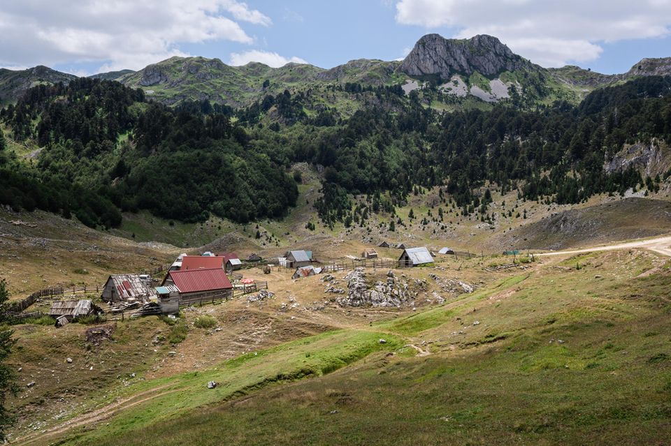 Eine Siedlung am Rand eines Weges