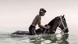 Junge reitet auf einem Pferd im Wasser